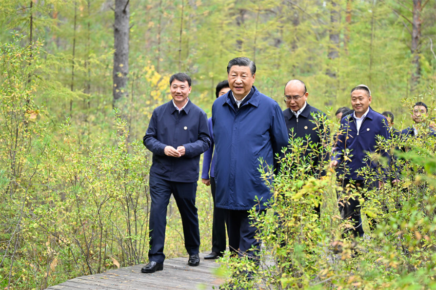 9月6日至8日，中共中央总书记、国家主席、中央军委主席习近平在黑龙江考察。这是6日下午，习近平在大兴安岭地区漠河市漠河林场自然林区考察。