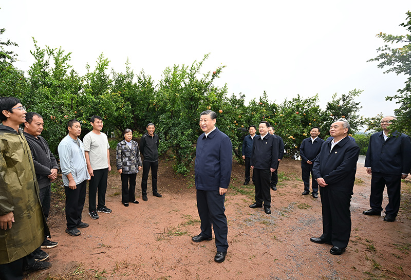 9月24日，中共中央总书记、国家主席、中央军委主席习近平在浙江考察结束返京途中，来到山东省枣庄市考察。这是习近平在位于峄城区的冠世榴园石榴种植园同老乡们亲切交流。