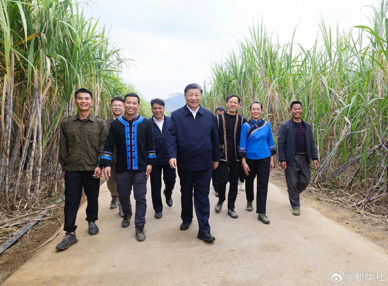 习近平在广西来宾市考察调研