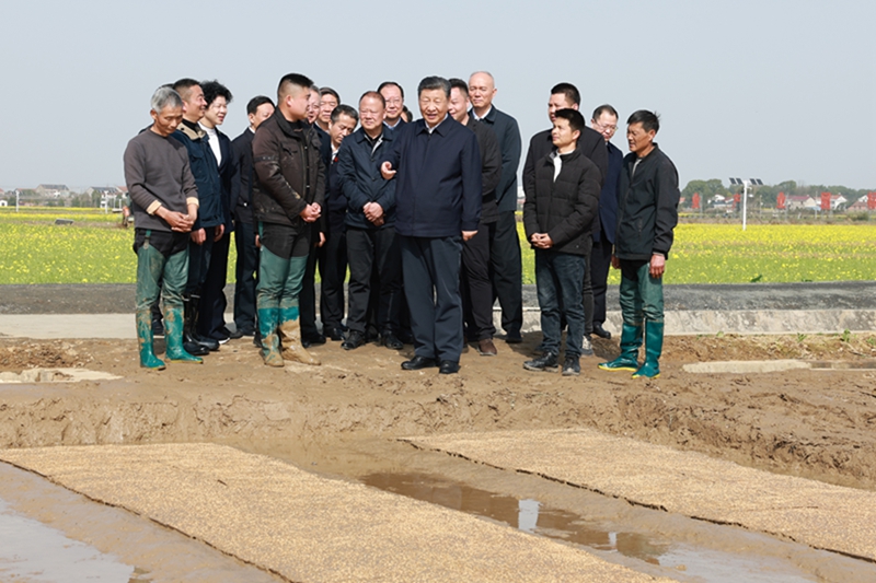 3月18日至21日，中共中央总书记、国家主席、中央军委主席习近平在湖南考察。这是19日下午，习近平在常德市鼎城区谢家铺镇港中坪村走进田间，察看秧苗培育和春耕备耕进展。