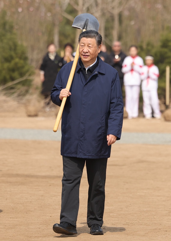 4月3日，党和国家领导人习近平、李强、赵乐际、王沪宁、蔡奇、丁薛祥、李希、韩正等来到北京市通州区潞城镇参加首都义务植树活动。这是习近平扛起铁锹走向植树地点。