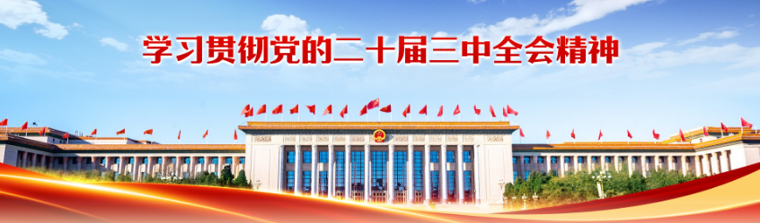 学习贯彻党的二十届三中全会精神